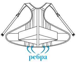 для позвоночника